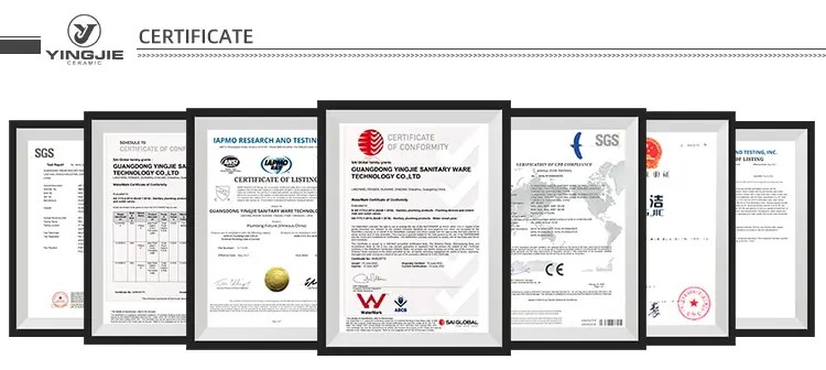 303db76d-8db3-491e-9901-ccff69fba615webp